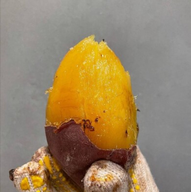 【予告】「芋と野菜」が期間限定オープン!